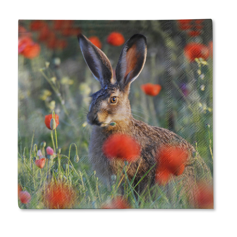 traumduft-hase-klopfer-servietten-33x33-cm-20-st-ck image 1