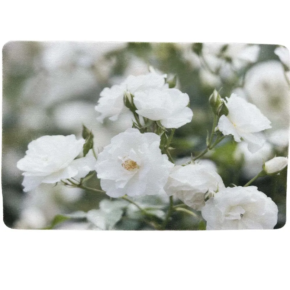 traumduft-white-roses-tischset-40x30-waschbar-polyester image 1