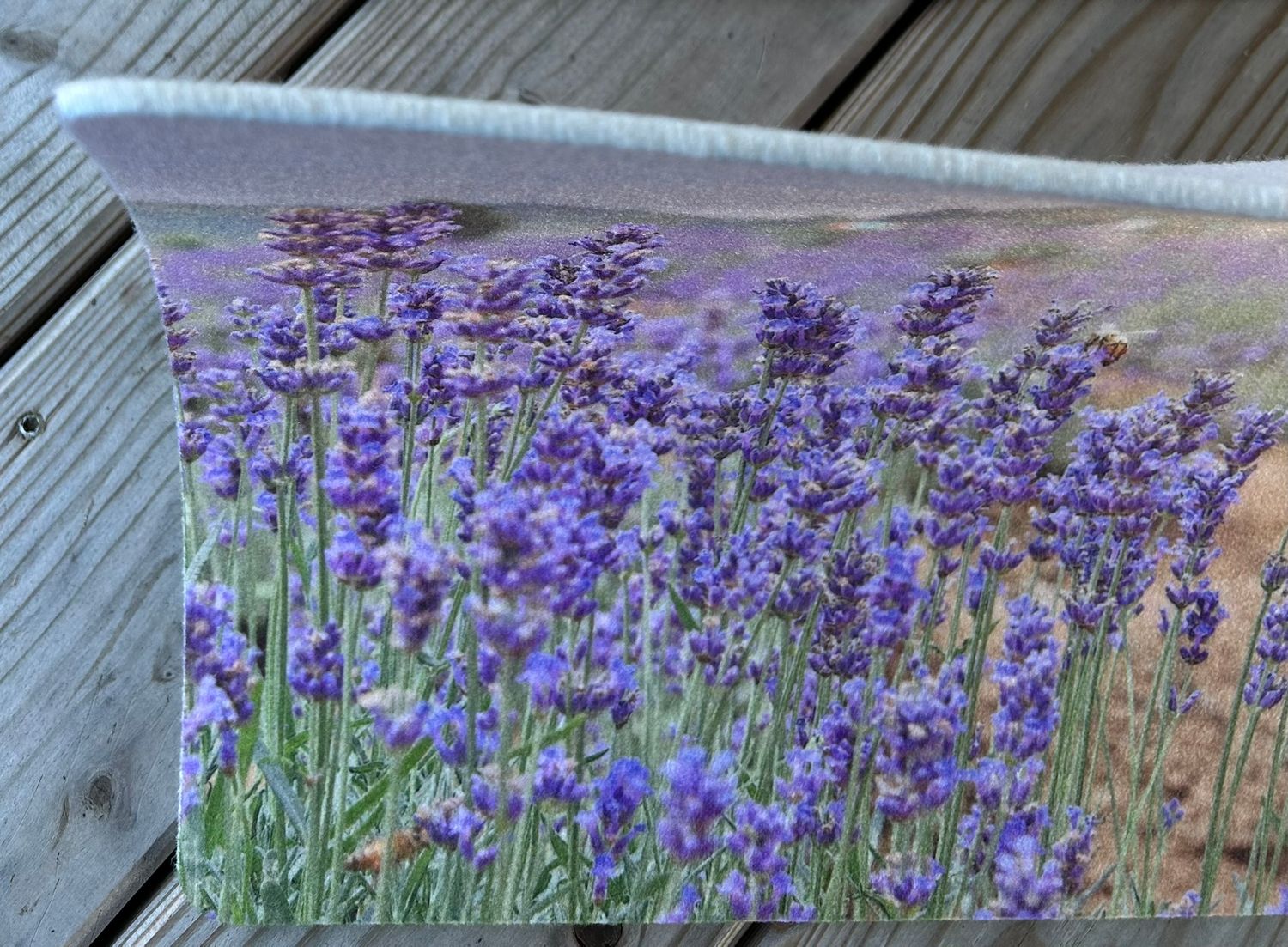 traumduft-lavendel-tischset-platzdeckchen-40x30-cm-waschbar image 3