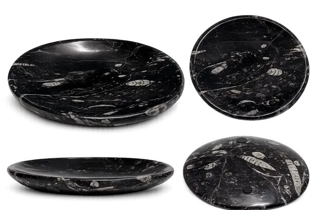 orthoceras-dekoschale-fossilienstein-schwarz-15x11-5-cm image 1