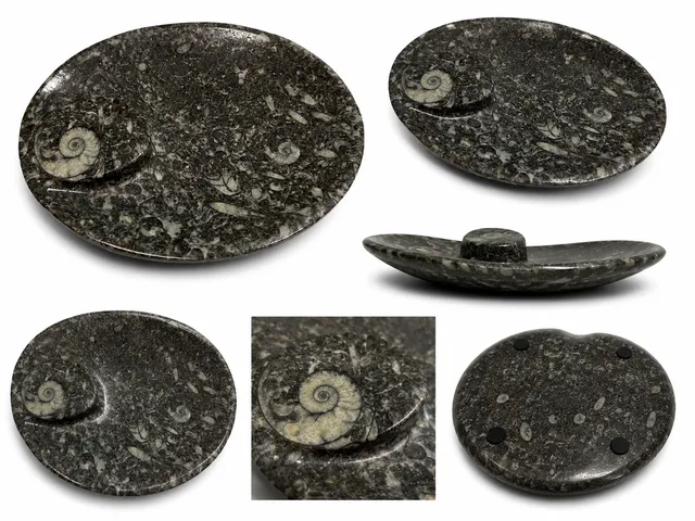 orthoceras-dekoschale-fossilienstein-15x11-5-cm-unikat-marokko image 1
