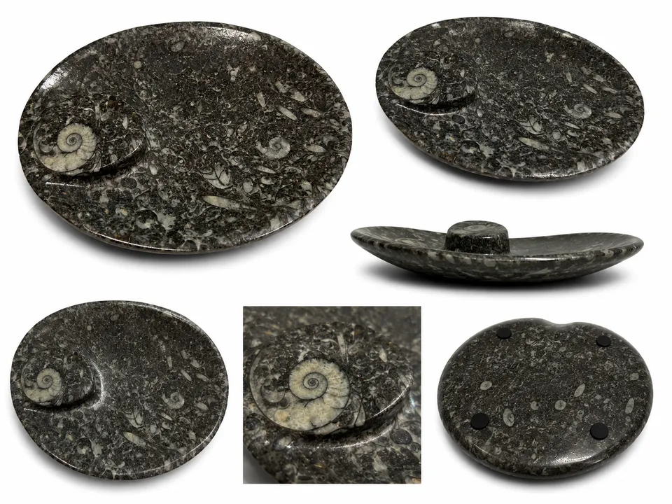 orthoceras-dekoschale-fossilienstein-15x11-5-cm-unikat-marokko image 1