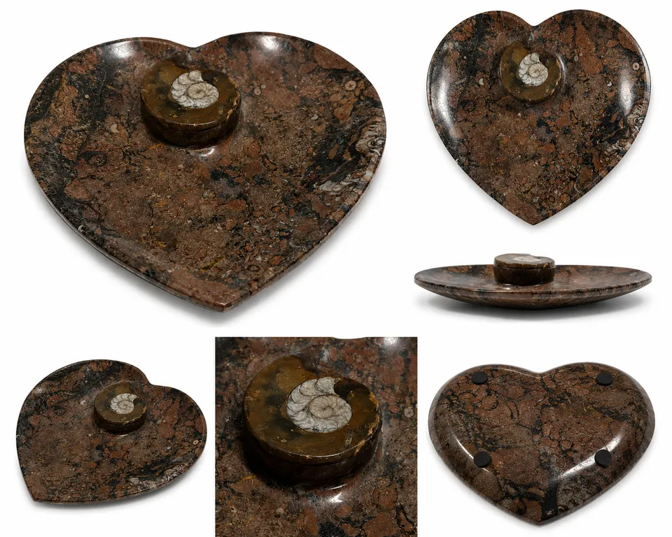 orthoceras-dekoschale-fossilienstein-braun-15x14-cm image 1