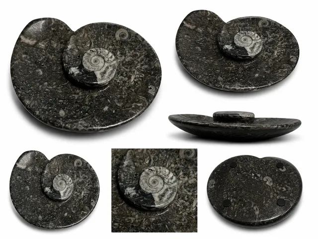 orthoceras-dekoschale-fossilienstein-schwarz-10-5x9-unikat image 1