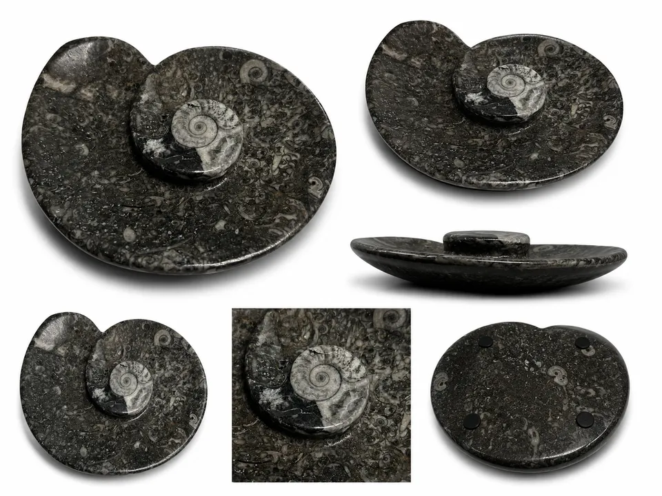 orthoceras-dekoschale-fossilienstein-schwarz-10-5x9-unikat image 1