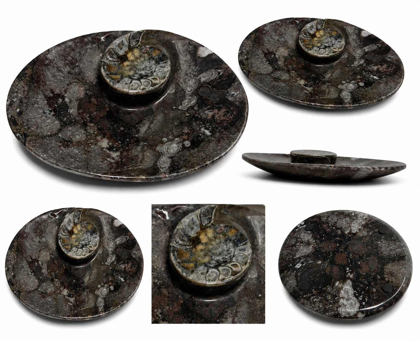 orthoceras-dekoschale-fossilienstein-unikat-schwarz-15x11-5-cm image 1