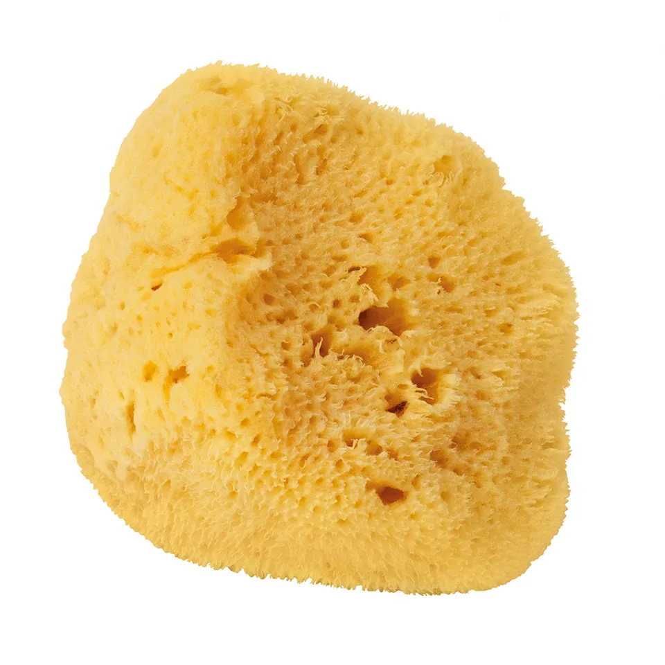 levantiner-schwamm-badeschwamm-12-cm-extra-weich image 1