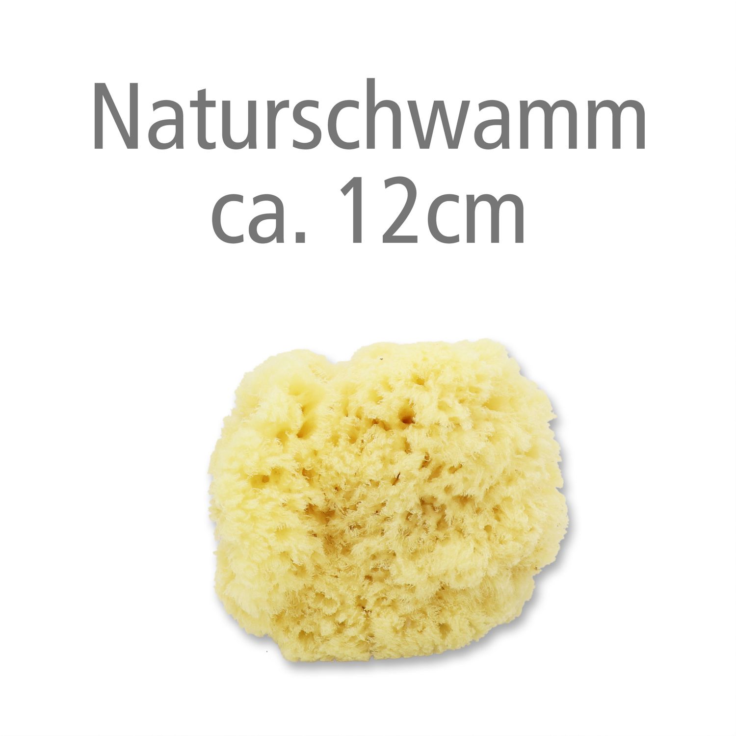 levantiner-schwamm-badeschwamm-12-cm-extra-weich image 3