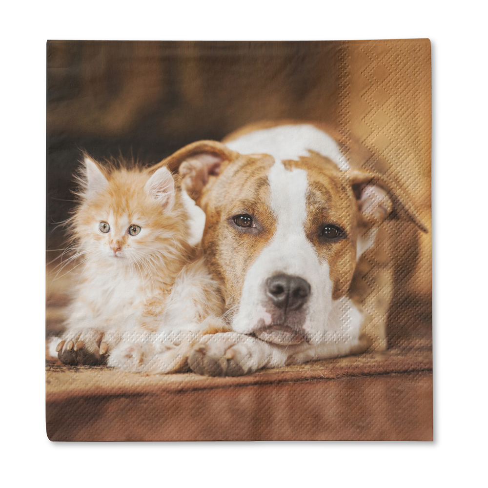 traumduft-servietten-hund-katze-33x33-cm-3-lagig-20-st-ck image 1