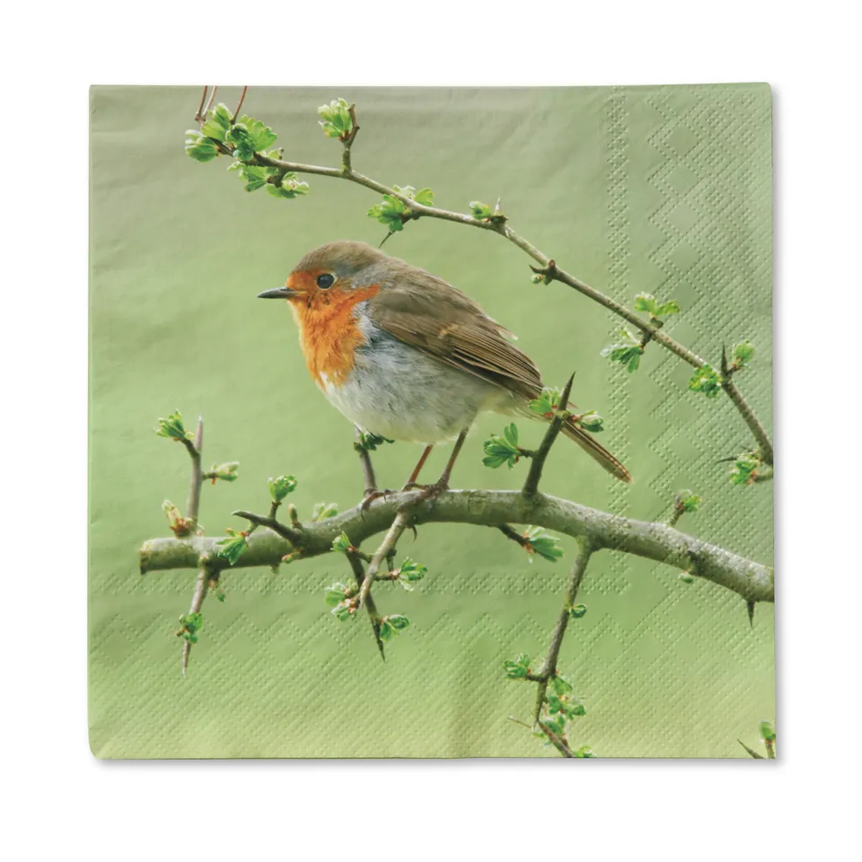 traumduft-servietten-rotkehlchen-33x33-3-lagig-20-st-ck image 1