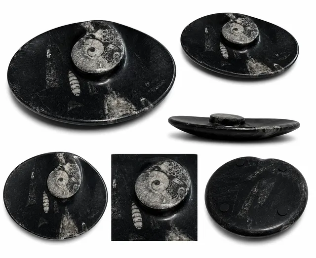 orthoceras-dekoschale-fossilienstein-12x9cm-schwarz-unikat image 1