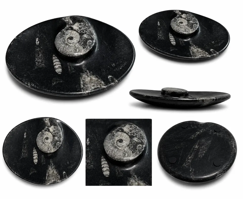 orthoceras-dekoschale-fossilienstein-12x9cm-schwarz-unikat image 1