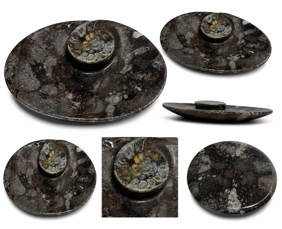 orthoceras-dekoschale-fossilienstein-unikat-schwarz-15x11-5-cm image 1