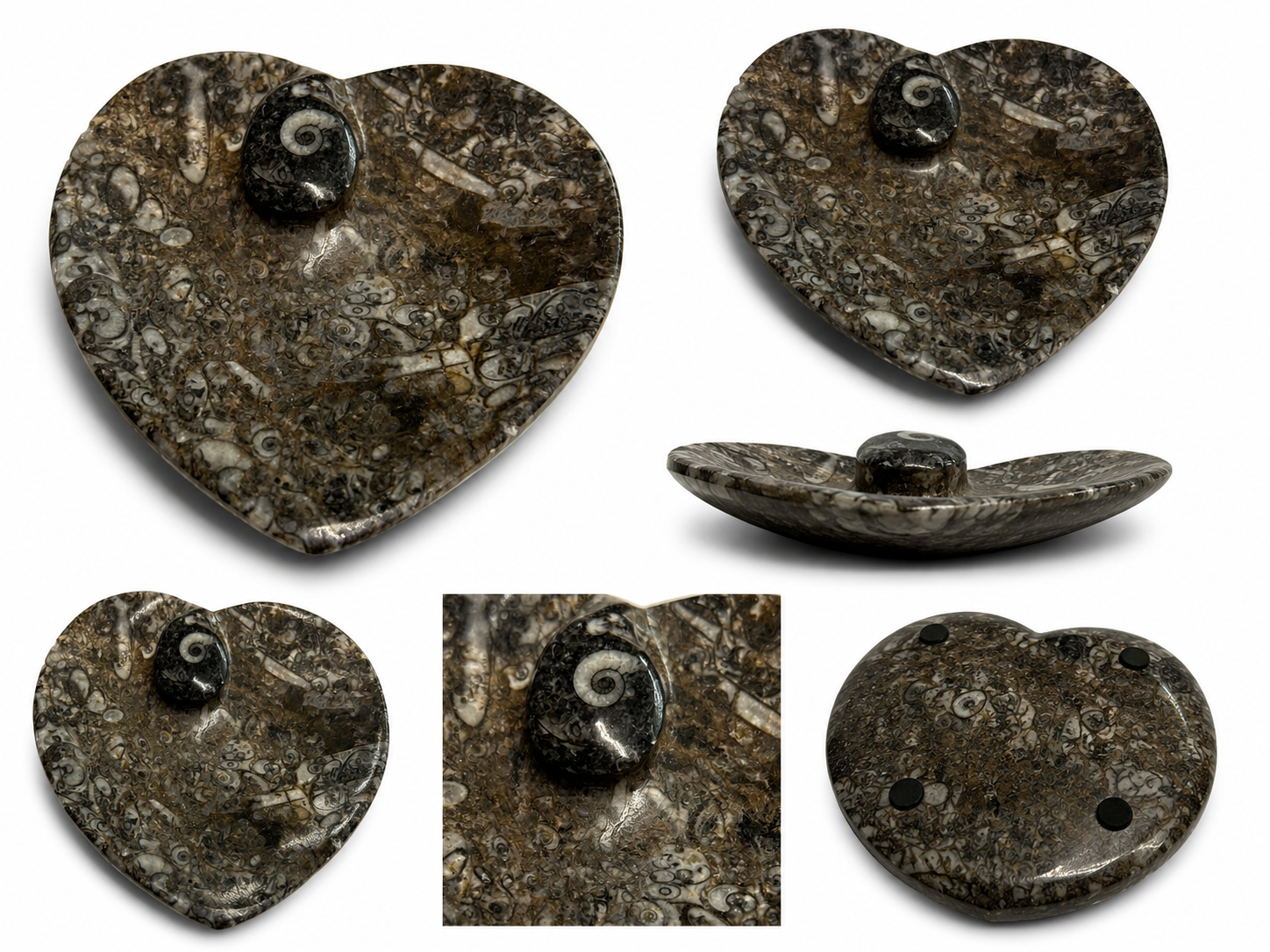 nesbel-orthoceras-dekoschale-fossilienstein-10x9-cm-schwarz image 1