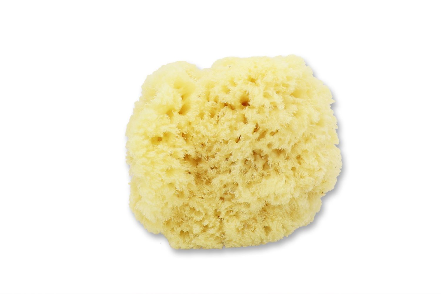 levantiner-schwamm-badeschwamm-12-cm-extra-weich image 4
