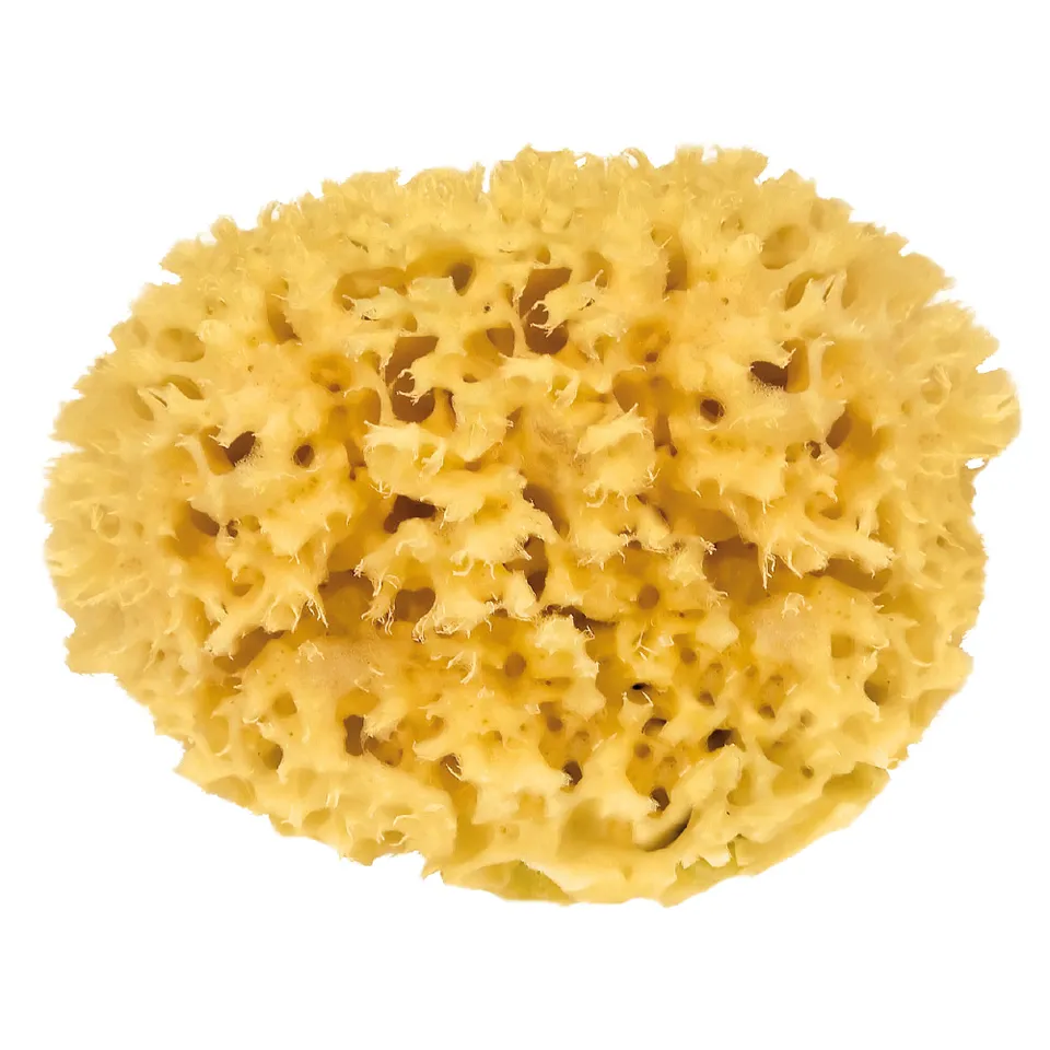 nesbel-naturschwamm-badeschwamm-mittelmeer-ca-15-cm image 1