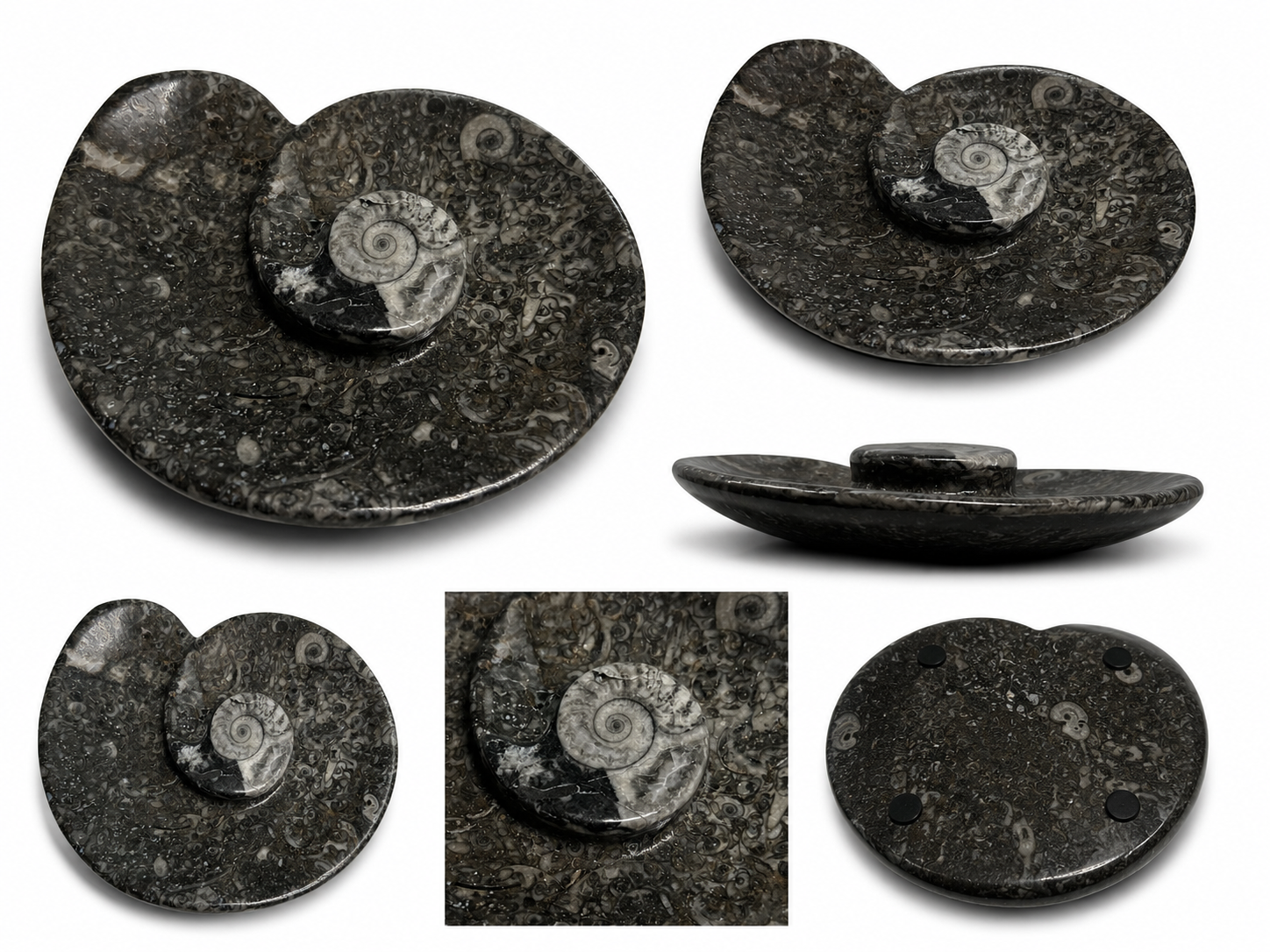 orthoceras-dekoschale-fossilienstein-schwarz-10-5x9-unikat image 1