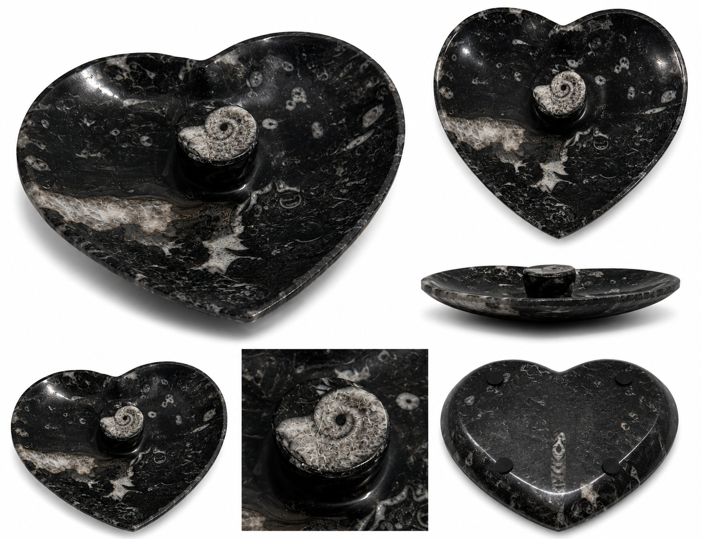 orthoceras-dekoschale-fossilienstein-schwarz-14x15-cm image 1