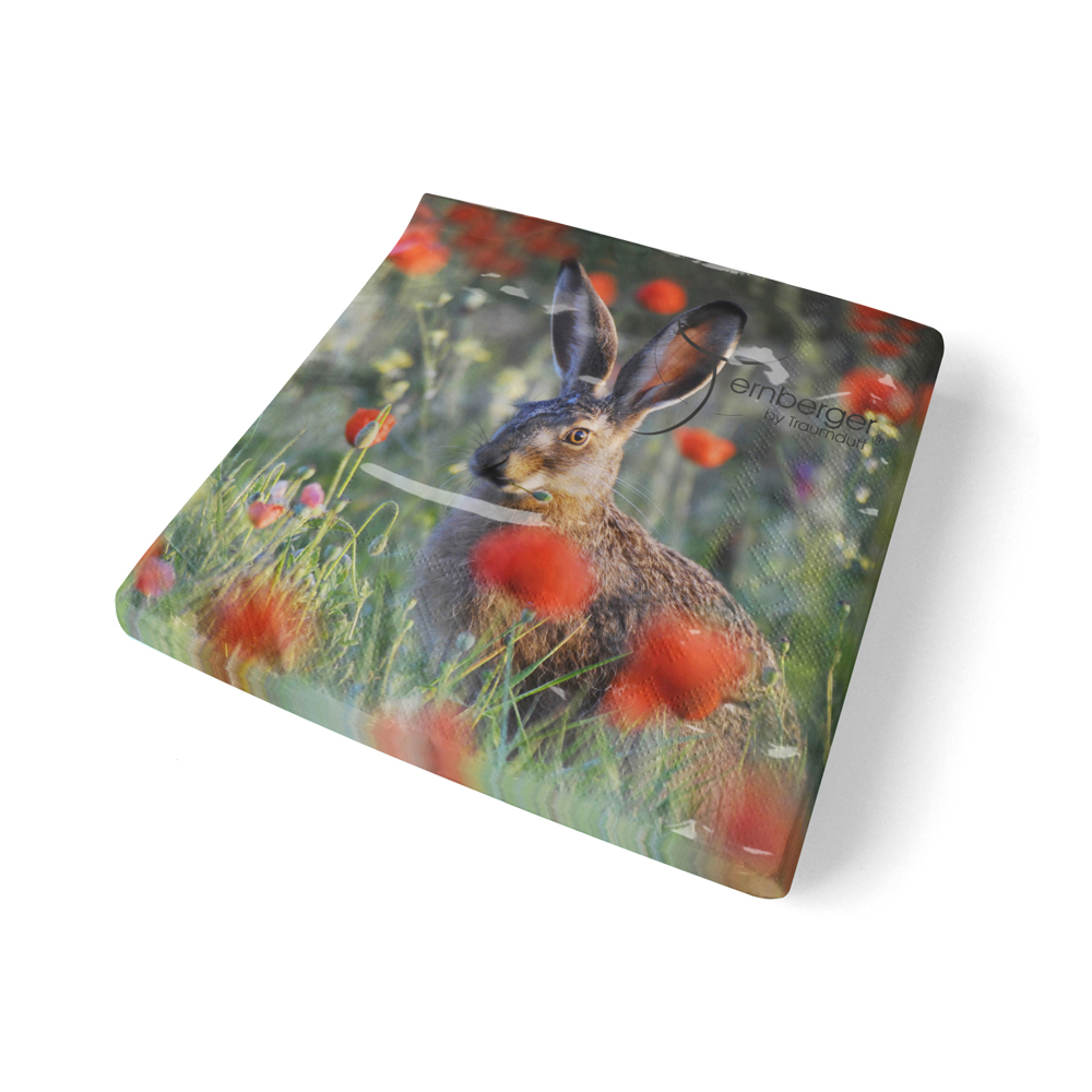 traumduft-hase-klopfer-servietten-33x33-cm-20-st-ck image 2
