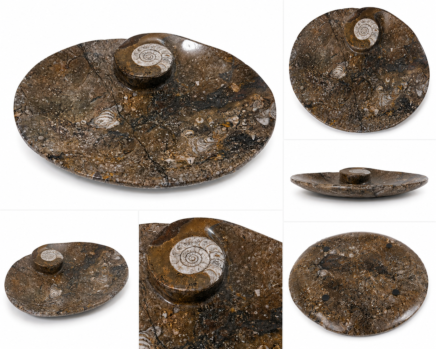 orthoceras-dekoschale-fossilienstein-15x12cm-braun-unikat image 1