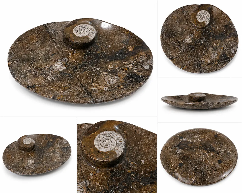 orthoceras-dekoschale-fossilienstein-15x12cm-braun-unikat image 1