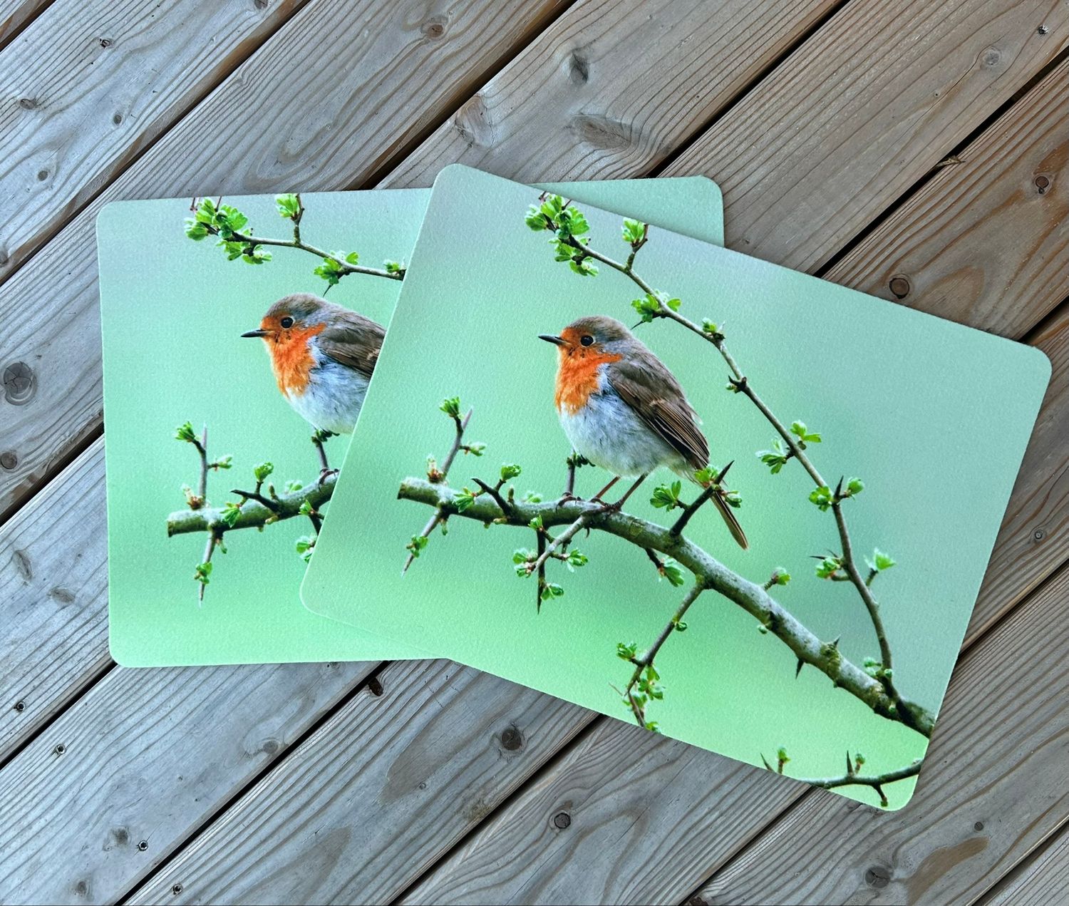 traumduft-rotkehlchen-tischset-40x30-cm-waschbar image 2
