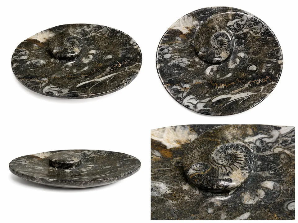 orthoceras-dekoschale-fossilienstein-marokko-unikat image 1