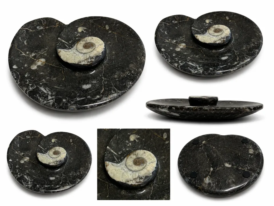 nesbel-orthoceras-dekoschale-fossilienstein-schwarz-10x8-cm image 1