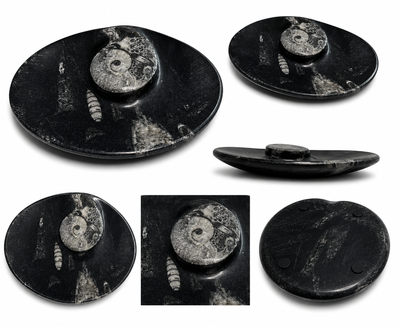 orthoceras-dekoschale-fossilienstein-12x9cm-schwarz-unikat image 1